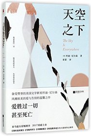 The sky is everywhere (Chinese Edition)