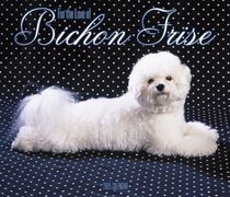 For the Love of Bichon Frise Deluxe 2005 Wall Calendar