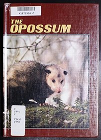 Opossum (Wildlife : Habits & Habitat)