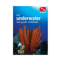 Caribbean Underwater Reef Guide w/ Slate & Pencil