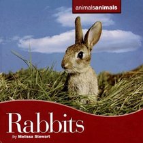 Rabbits (Animals Animals)