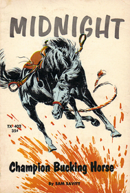 Midnight: Champion Bucking Horse