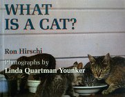 What Is a Cat?