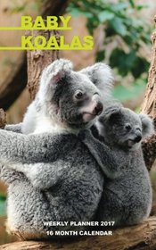 Baby Koalas Weekly Planner 2017: 16 Month Calendar