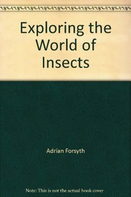 Exploring the World of Insects