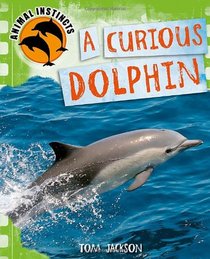 Curious Dolphin (Animal Instincts)