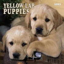 Yellow Labrador Retriever Puppies 2005 Wall Calendar