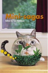 Mini-sagas: Pupil Book Level 2-3 Readers (Hodder Reading Project)