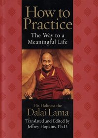 How to Practice : The Way to a Meaningful Life