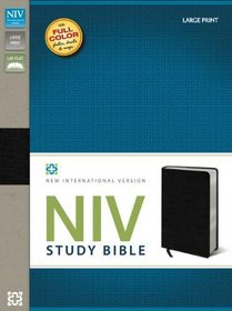 NIV Study Bible, Large Print