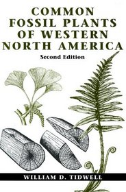 Common Fossil Plants of Western North America