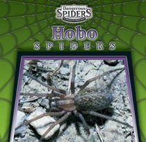 Hobo Spiders (Dangerous Spiders)