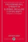 The International Covenant on Economic, Social and Cultural Rights: A Perspective on Its Development (Oxford Monographs in International Law)