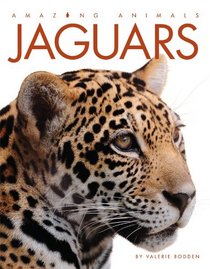 Amazing Animals: Jaguars