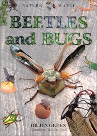 Beetles & Bugs (Nature Watch (Lorenz))