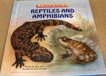 A Picture Book of Reptiles and Amphibians (A Picture Book of Series)