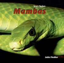 Mambas (Scary Snakes)