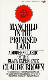 manchild in the promised land