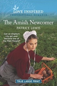 The Amish Newcomer (Love Inspired, No 1304) (True Large Print)