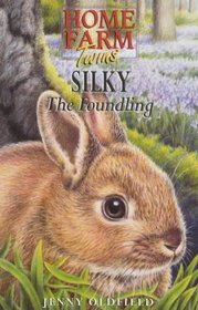 Silky the Foundling (Home Farm Twins S.)