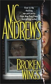 Broken Wings (Broken Wings, Bk 1)