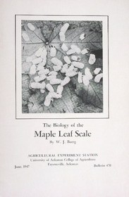 The biology of theMaple leaf scale