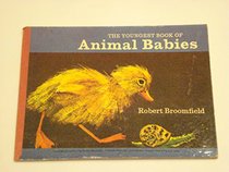 Animal Babies (Bodley Head Board Books)