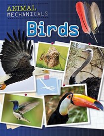 Birds (Animal Mechanicals)