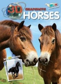 Horses (3D Snapshots)