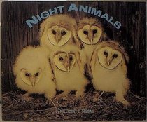 Night Animals