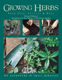 Growing Herbs from Seed, Cutting  Root: An Adventure in Small Miracles