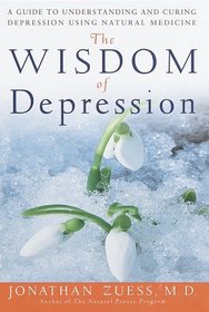 The Wisdom of Depression : A Guide to Understanding and Curing Depression Using Natural Medicine