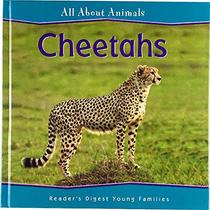 Cheetahs