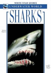 Sharks (White Star Guides)