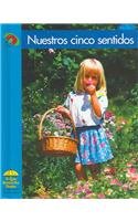 Nuestros Cinco Sentidos (Yellow Umbrella Books (Spanish)) (Spanish Edition)