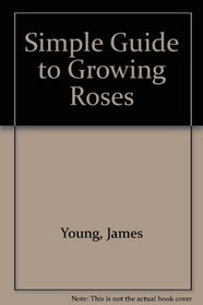 Simple Guide to Growing Roses