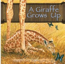 A Giraffe Grows Up (Wild Animals)