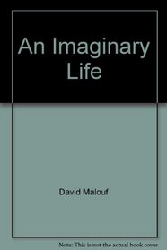 An Imaginary Life