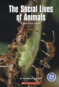 The Social Lives Of Animals: A Chapter Book (True Tales)