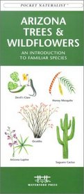 Arizona Trees  Wildflowers: An Introduction to Familiar Species