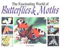 The Fascinating World of Butterflies and Moths