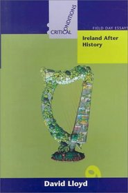 Ireland After History (Critical Conditions)