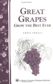 Great Grapes Grow the Best Ever (A.53)