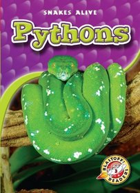 Pythons (Blastoff! Readers: Snakes Alive) (Blastoff! Readers Level 3: Snakes Alive)
