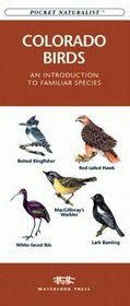 Colorado Birds: An Introduction to Familiar Species (Pocket Naturalist)