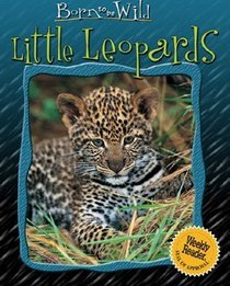 Little Leopards (Born to Be Wild)