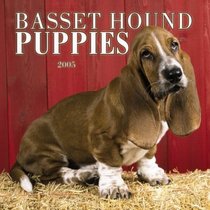 Basset Hound Puppies 2005 Mini Wall Calendar