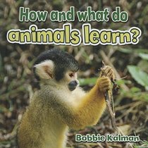 How and What Do Animals Learn? (All About Animals Close-Up)