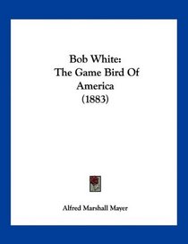 Bob White: The Game Bird Of America (1883)