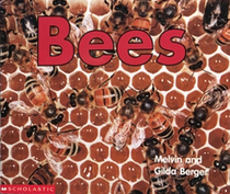 Bees (Time-to-Discover)
